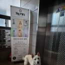 큰솔약국 이미지