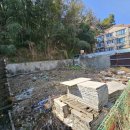 산호동204 이미지