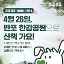 봄강아지 이미지