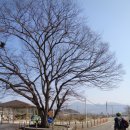 산수장여관 이미지