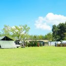 패밀리파크 캠핑장 이미지