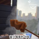 샤브홀리&쪽갈비 네이버블로그