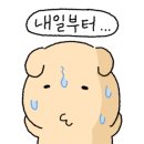 루틴그라운드