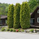 천보산자연휴양림 이미지