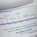 위더스동물병원 | 2024 수원시 청년도전지원사업 장기프로그램 참여 후기
