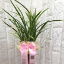 부산광역시 동구 조방로 이미지