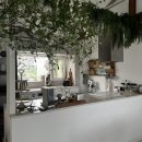 고내리본 이미지