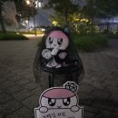 세븐틴 정한원우 엠카 사녹 후기 240620