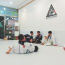 비디주짓수