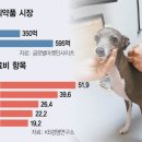 바이오 | 사람약을 동물용으로…'뉴 캐시카우' 키우는 K바이오 | 서울경제 이미지