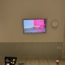 스테이숨 이미지