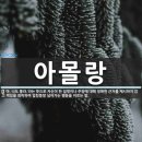 웨딩밴드 투어 후기(֊ ̫ ֊): 압구정 갤러리아, 광교 갤러리아 백화점,쇼메