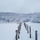 겨울 이미지