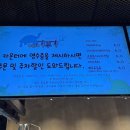 쿠펫 | 판교 아기랑 실내 가기좋은 카페 거부기 앤 쿠펫 판교점 거북이 먹이체험 후기
