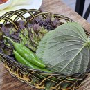 옛날선미숯불갈비