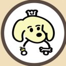 디어도그 이미지