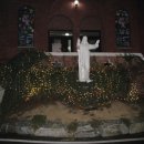 소나무 철물점 이미지