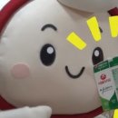 시립꿈초롱어린이집 이미지