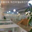 러블리독 애견카페 이미지