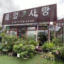 풀잎사랑화원 이미지