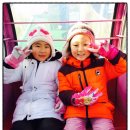 도건태권도 이미지