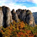 11월 1일 (토) [마무트 피엘 초등길] 100대명산 주왕산(절골~대전사) 단풍 명소 산행 안내 및 예약 이미지