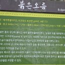 붉은오름자연휴양림 티스토리