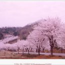 풍경좋은돌담집펜션 이미지