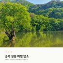 영남산소 - 남구 | 시원한 국내 여행지 경북 청송 가볼만한 곳 여행 코스 추천