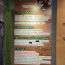 그릭요거트팩토리 이미지