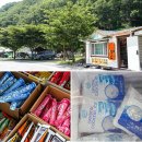 벽계관광지 통나무집 | 경남 의령 캠핑장 벽계 오토 캠핑장 추천 여름 캠핑 야영장 벽계관광지 통나무집