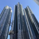 롯데부동산중개사무소 이미지