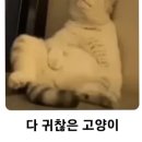 유람선회관 이미지