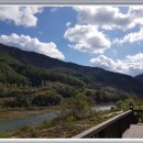 파란하늘민박 이미지