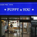 퍼피얌 그루밍 이미지