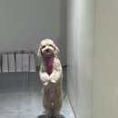 네일무드유