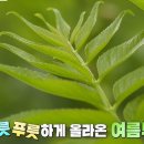 원순농장 네이버블로그