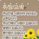 신, 구약 각권, 성경 전체 공부 - 출처:http://kcm.kr/dic_view_title.php?nid=38382 이미지