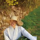 선재식품 이미지