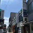 파충류카페 비비안 | 강릉 이색 데이트 파충류카페 비비안 후기