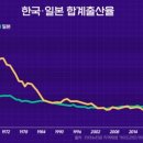다마 - 서귀포시 하모상가로 4-1 | 다마