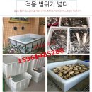 수조 | 대형 사각 수조 구매후기