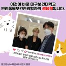 댕고밥상 이미지