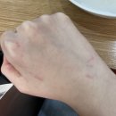 블로그에 시험기간 따위 기록하지 않습니다.