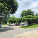 하방소 포레스트 이미지