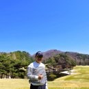 떼제베 Daum카페