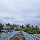 아일랜드 이미지