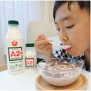 우리가족을 위한 맛있는 우유 서울우유 A2+ 맛있는 후기