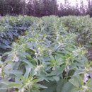 한주비치 놀이터 이미지