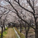 국원고등학교 이미지
